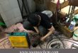 Các dịch vụ thông tắc cầu cống tại quận bình tân